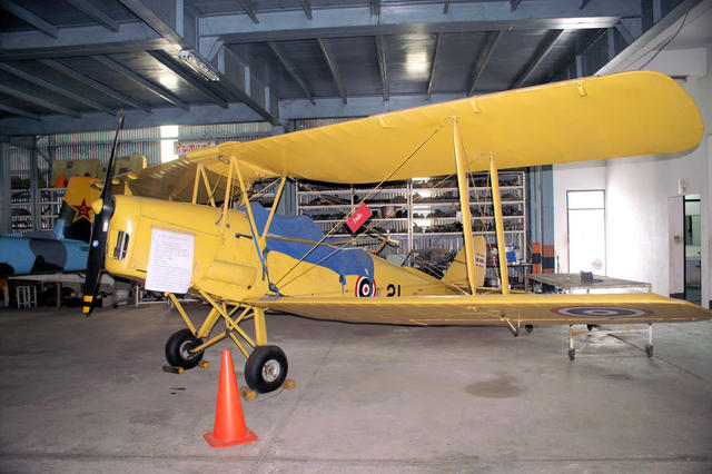 Tiger Moth-1.jpg