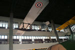Another Primary Glider-Second View.jpg
